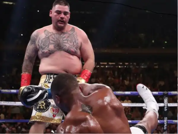 Anthony Joshua Plots 